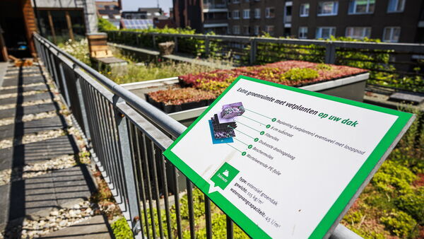 Informatie over groendaken.