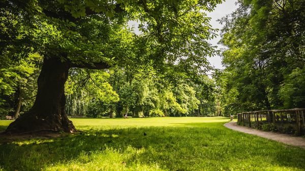 Nachtegalenpark